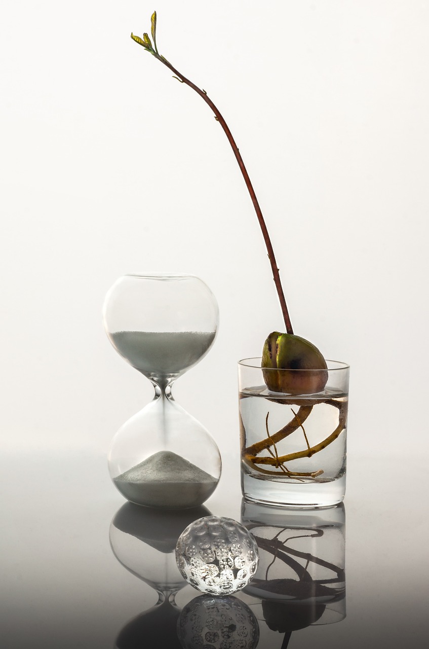 time, glass, sprout